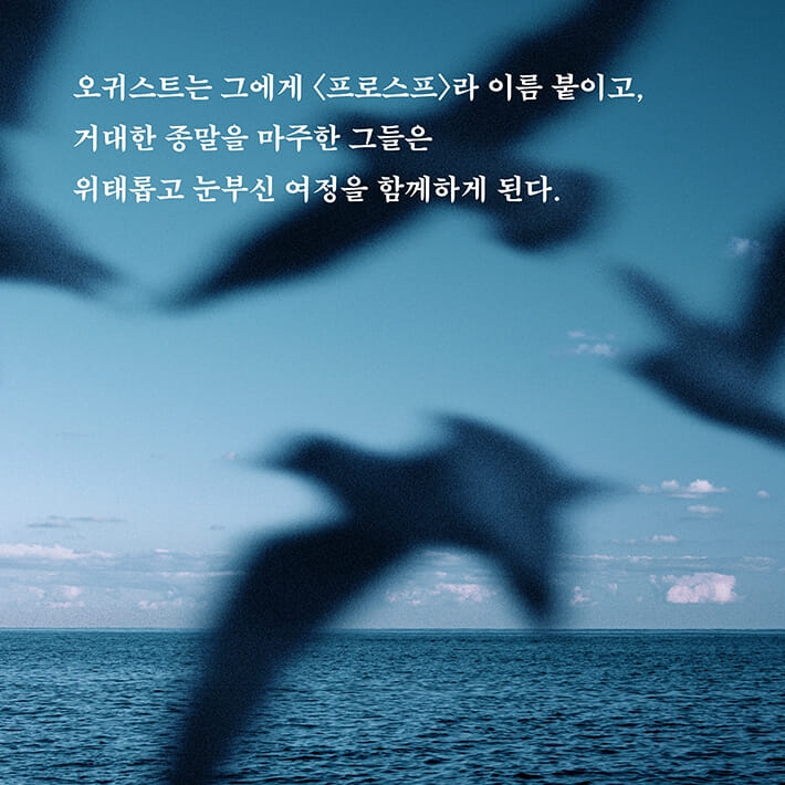 카드뉴스5