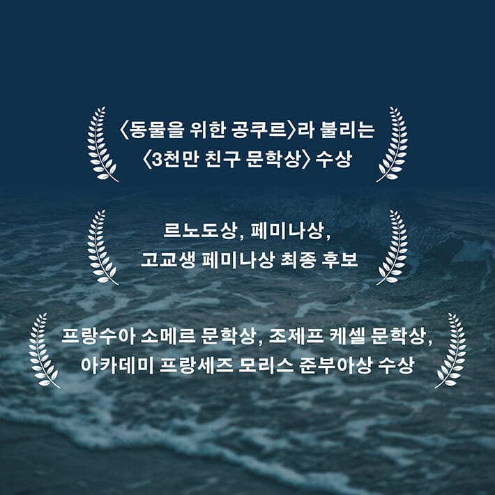 카드뉴스6