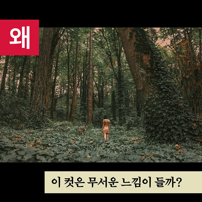 카드뉴스1