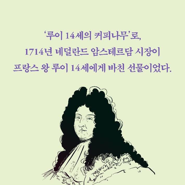 카드뉴스8