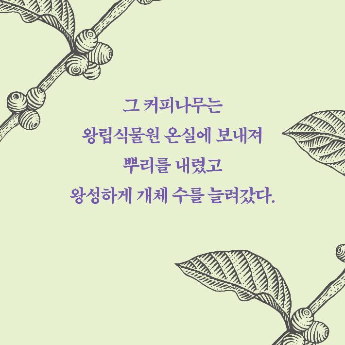 카드뉴스9
