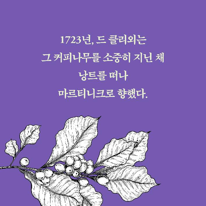 카드뉴스12