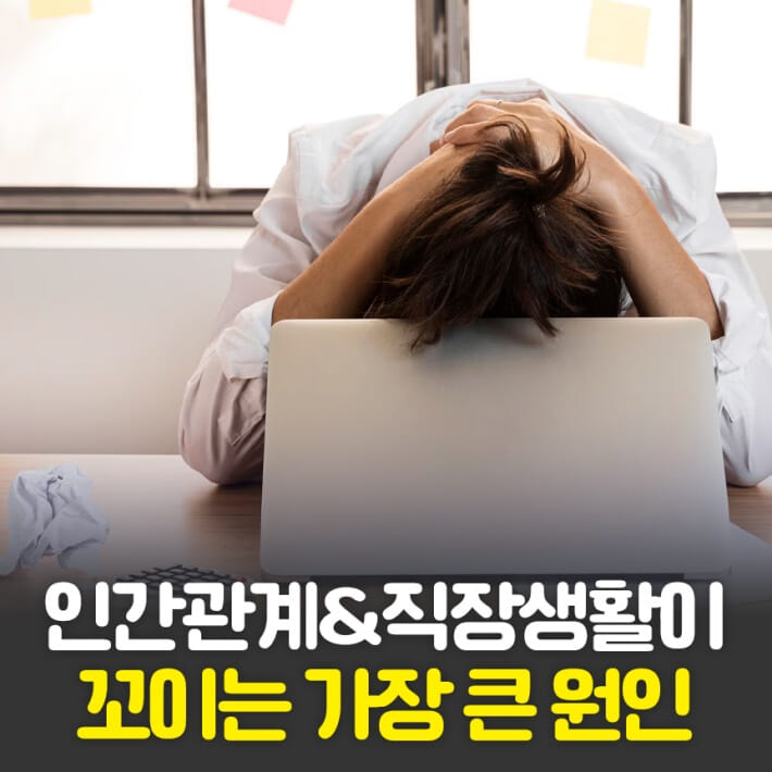 카드뉴스0