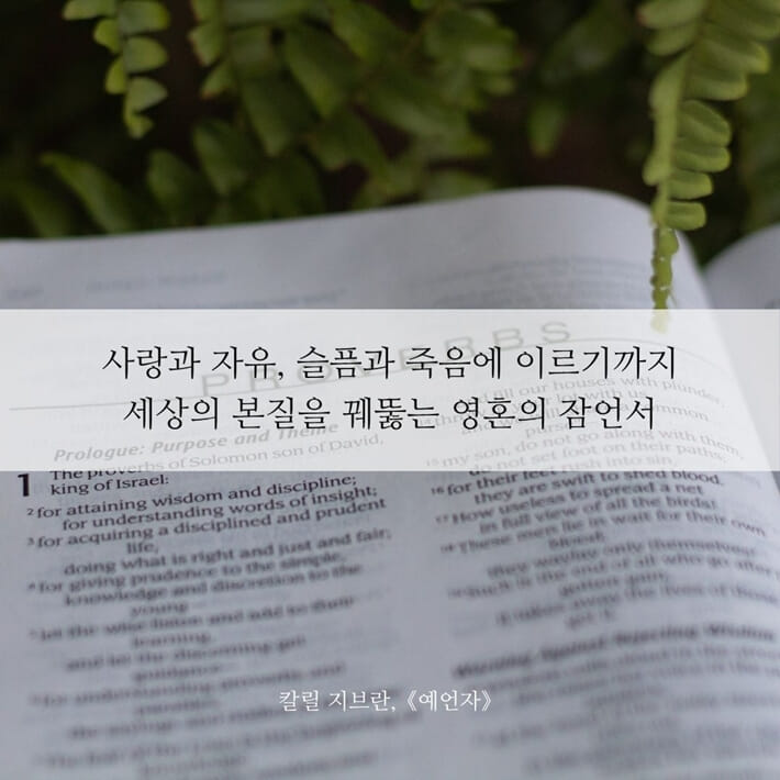 카드뉴스0