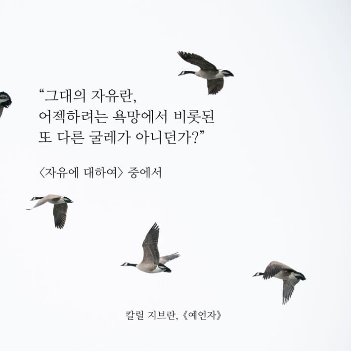 카드뉴스5