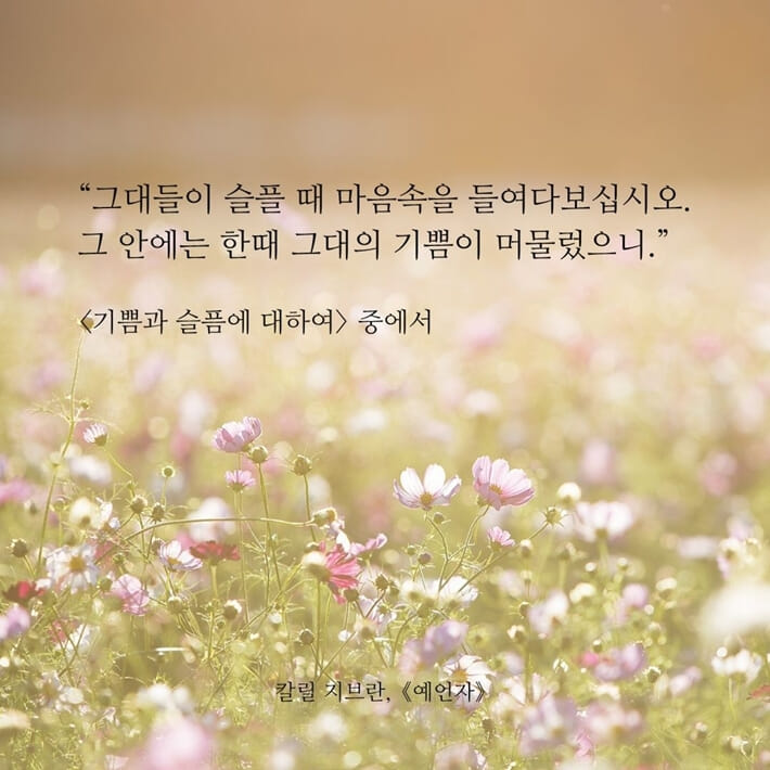 카드뉴스6