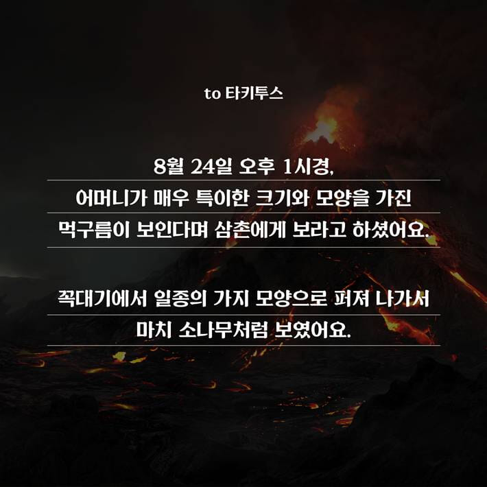 카드뉴스2
