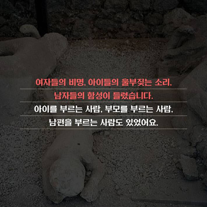 카드뉴스4