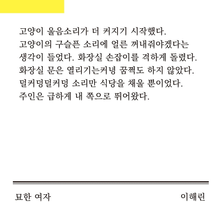 카드뉴스3