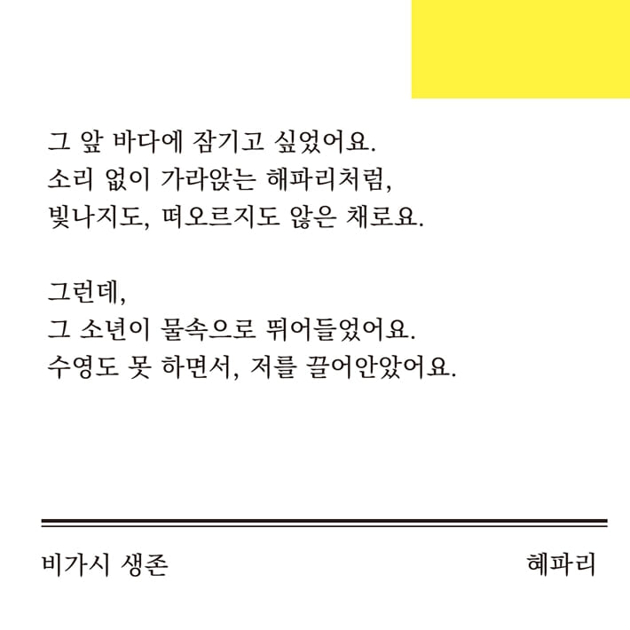 카드뉴스13