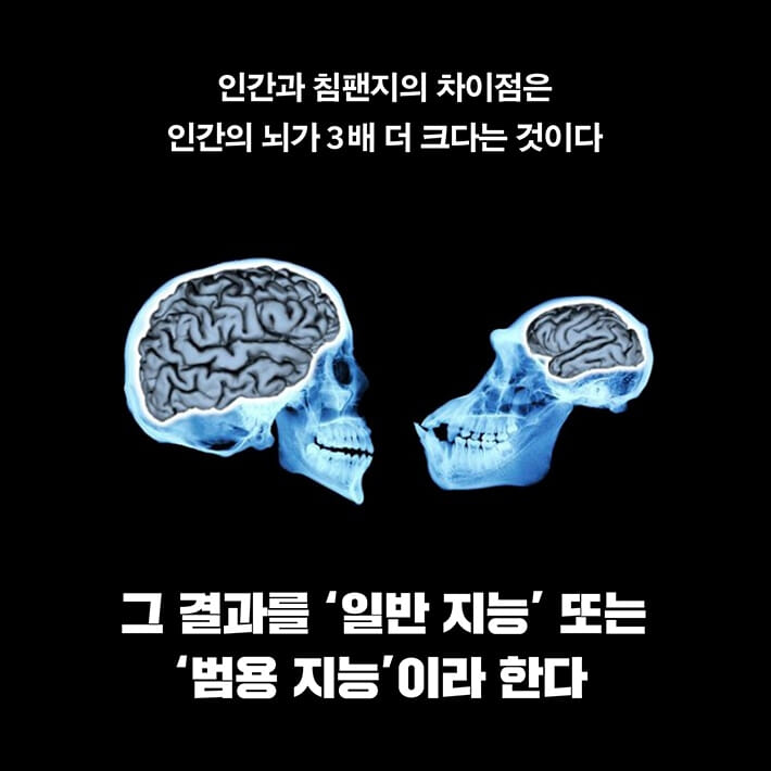 카드뉴스0