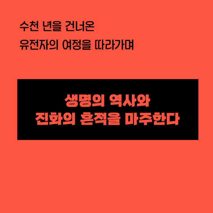 카드뉴스3