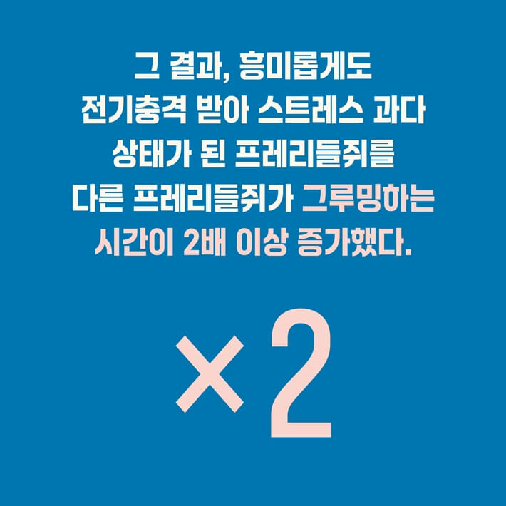 카드뉴스2