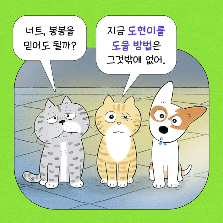 카드뉴스2