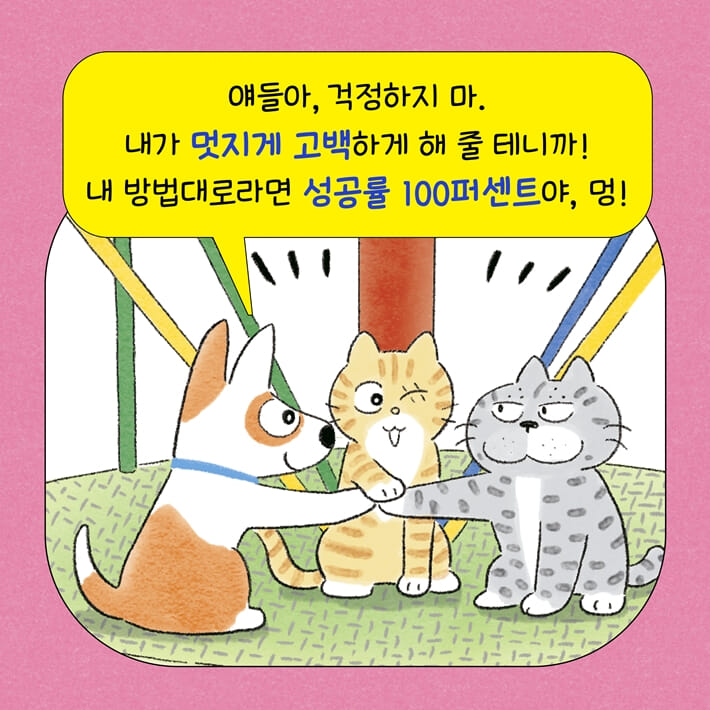카드뉴스3