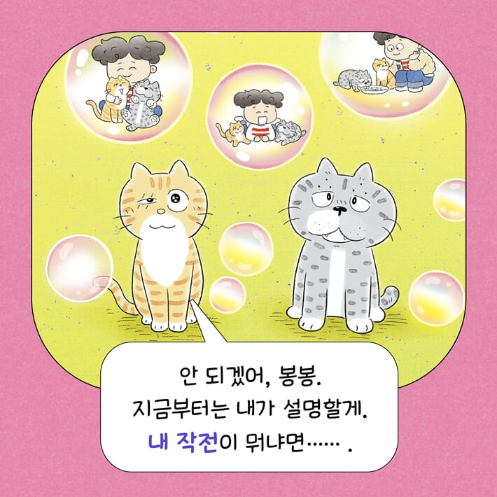 카드뉴스5