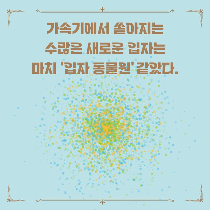 카드뉴스1