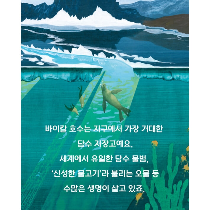 카드뉴스4