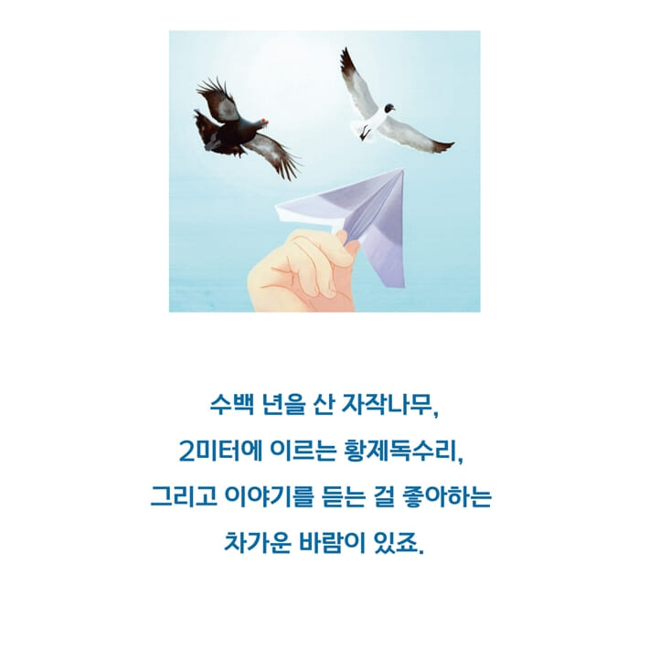 카드뉴스5
