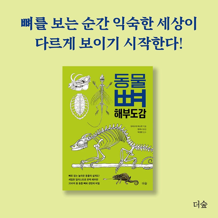 카드뉴스0
