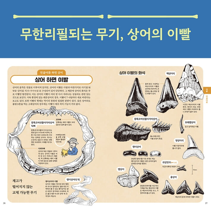 카드뉴스2