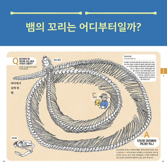 카드뉴스3