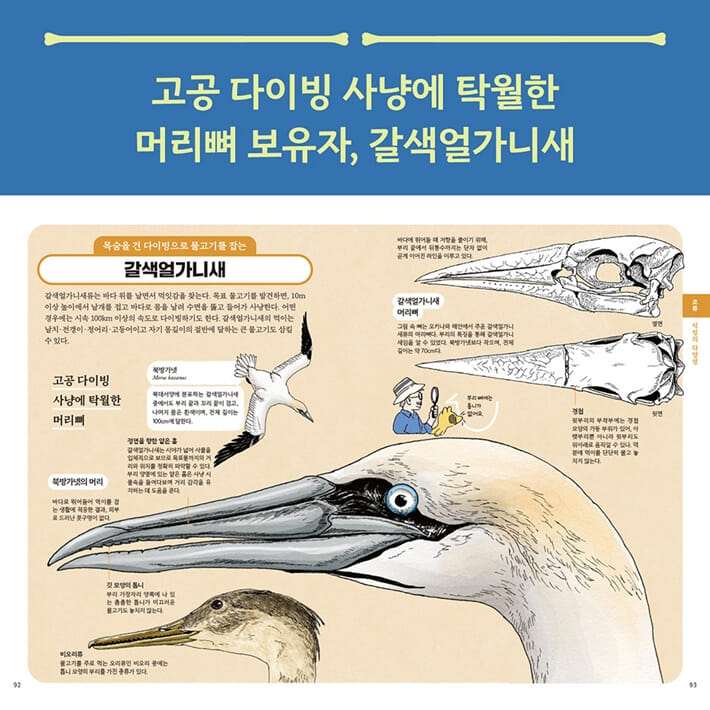 카드뉴스5