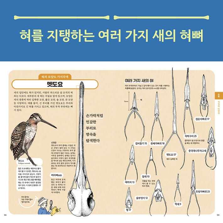카드뉴스6
