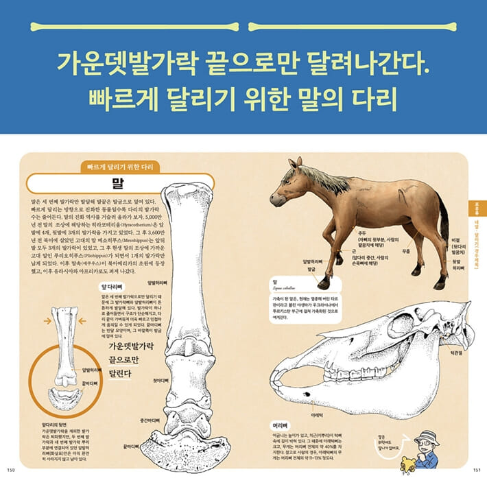 카드뉴스7