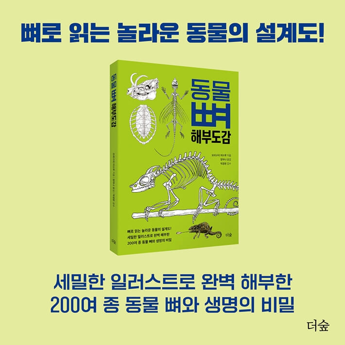 카드뉴스8