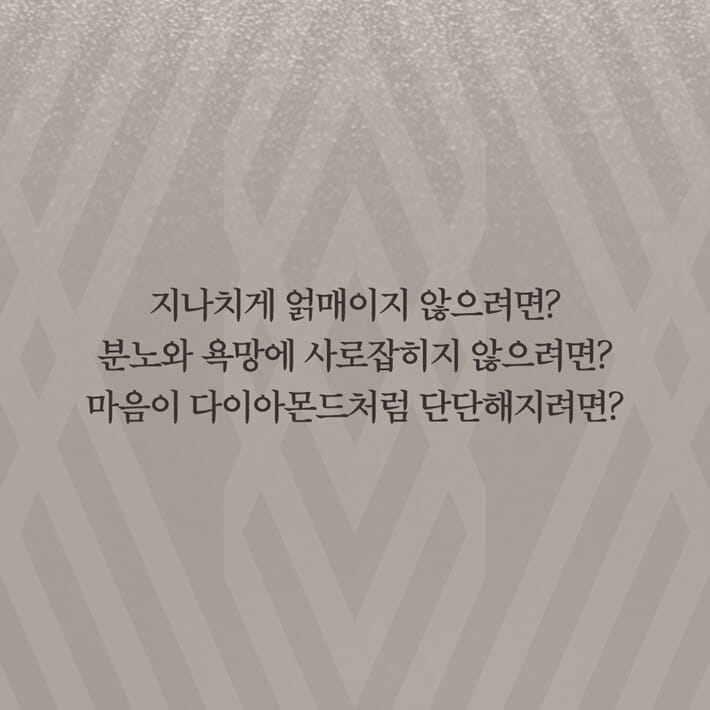 카드뉴스5