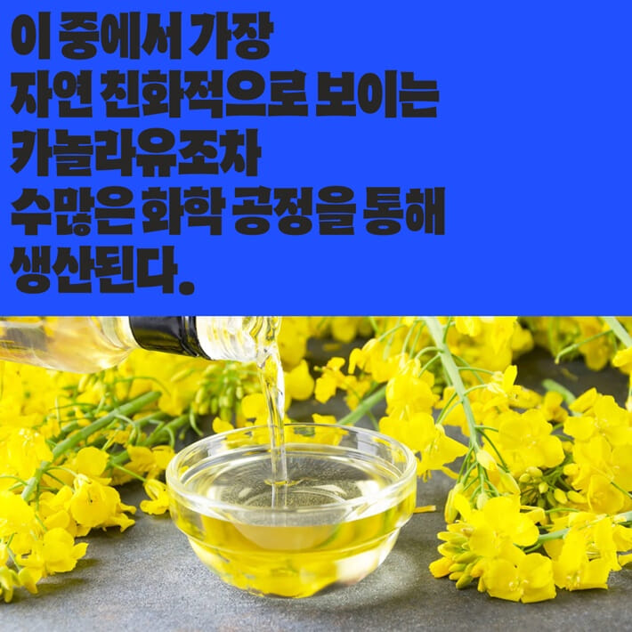 카드뉴스2