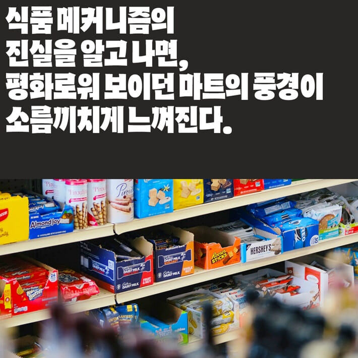 카드뉴스6