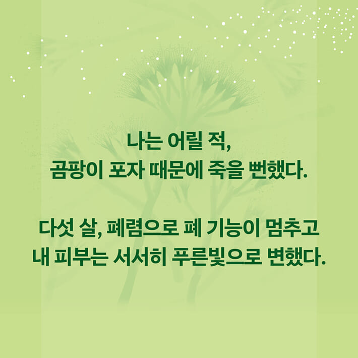 카드뉴스0
