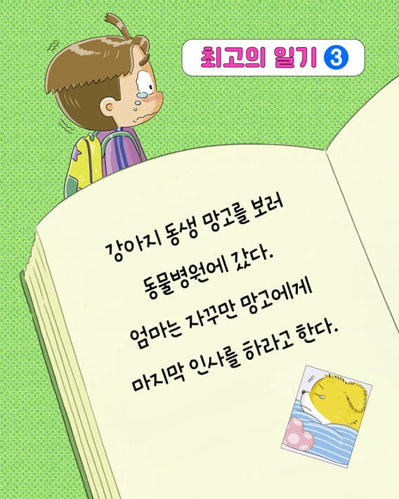 카드뉴스6