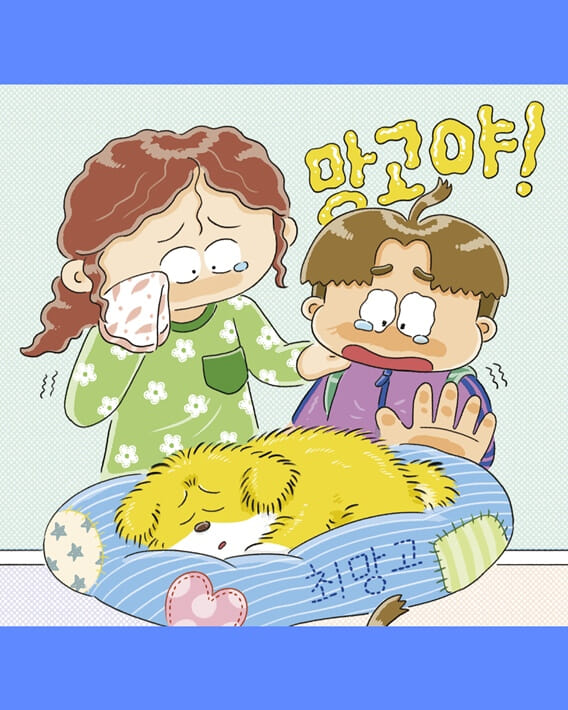 카드뉴스7
