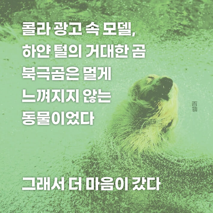 카드뉴스1