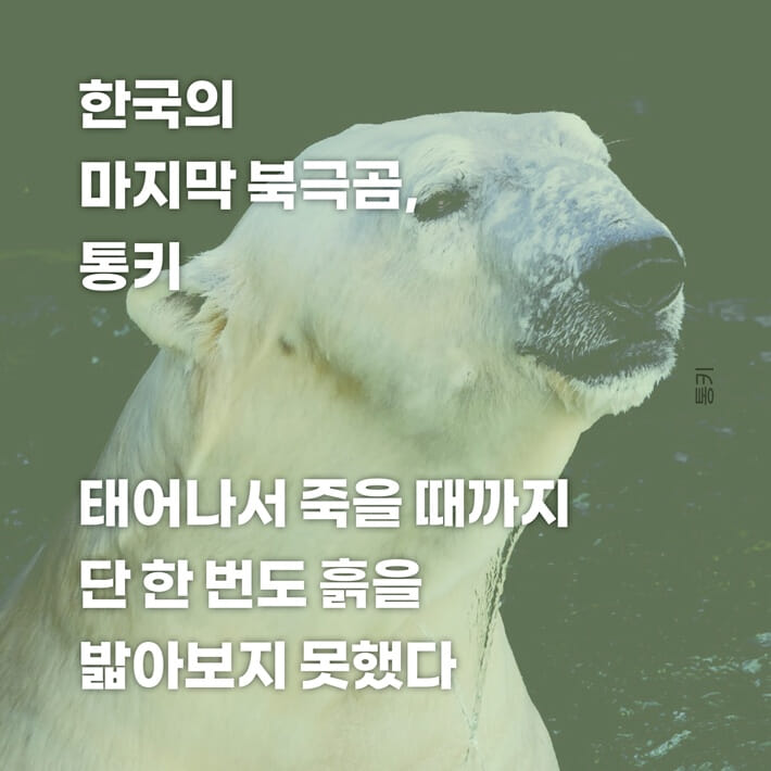 카드뉴스5