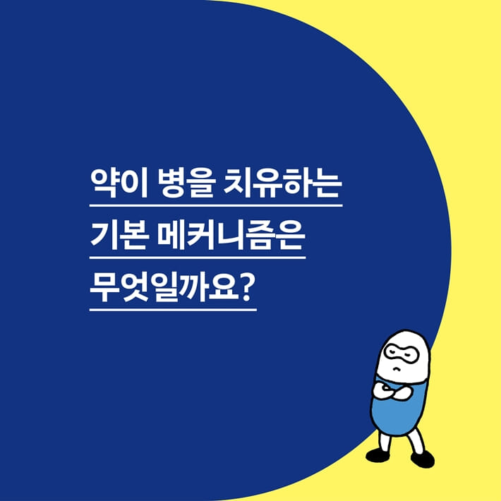 카드뉴스2