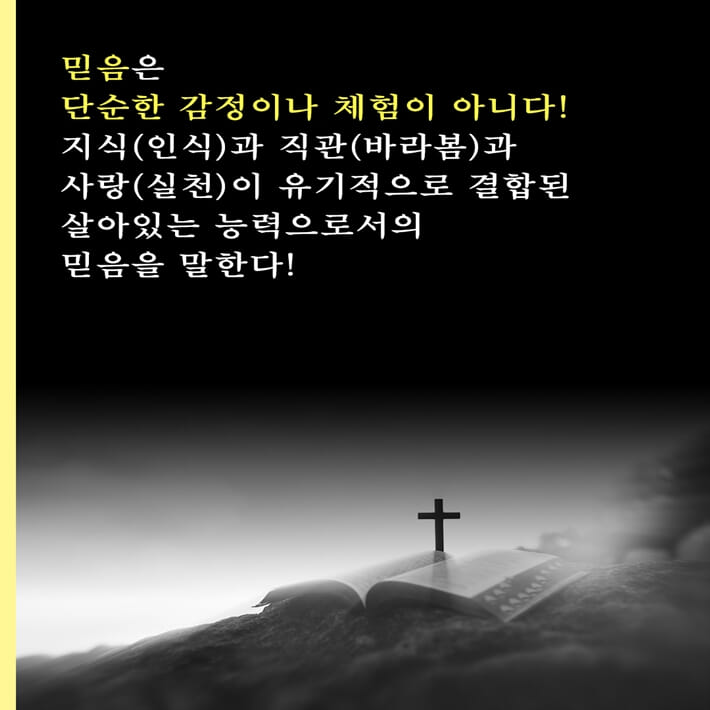 카드뉴스4