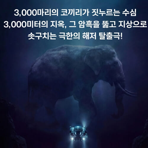 카드뉴스0