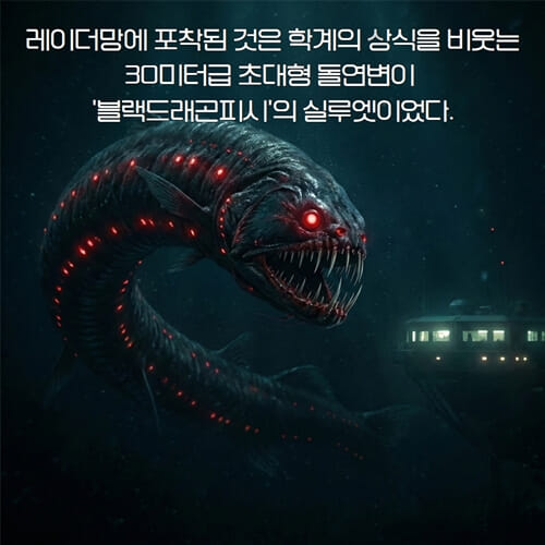 카드뉴스5
