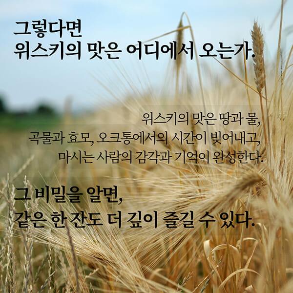 카드뉴스7