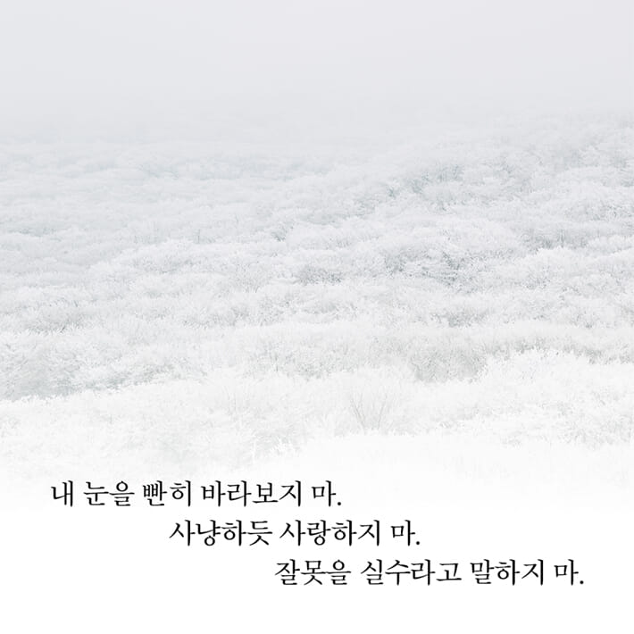 카드뉴스4