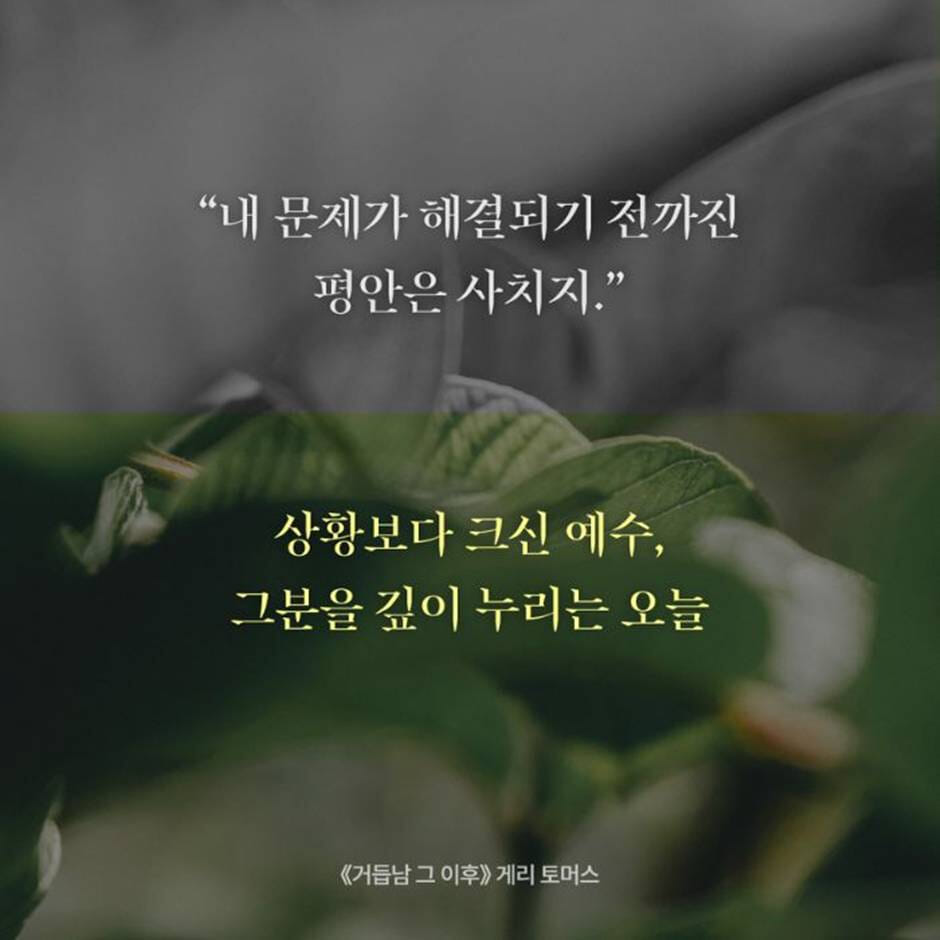 카드뉴스0