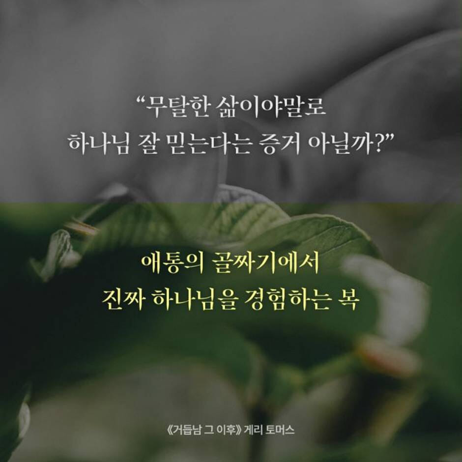카드뉴스2
