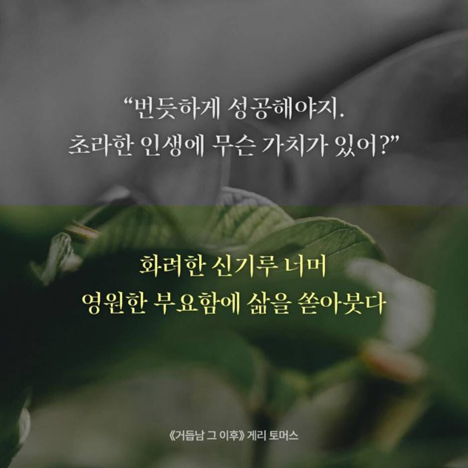 카드뉴스3