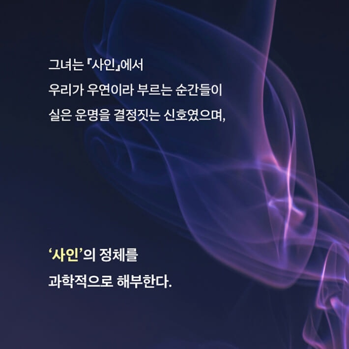 카드뉴스4
