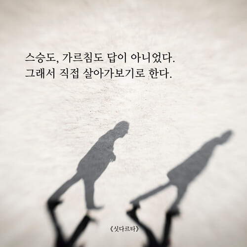 카드뉴스5