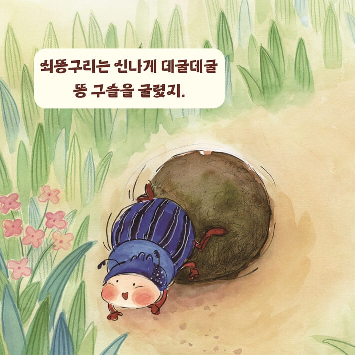카드뉴스2